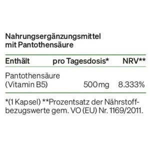Produktbild für Vitamin-B natural-elements Pantothensäure, 240 Kapseln