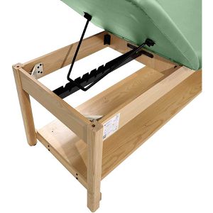 Produktbild für Behandlungsliege Teqler T146711, aus Holz, lindgrün