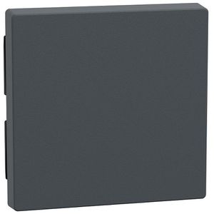 Schalter-Wippe Merten 433114 System M