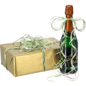 Produktbild für Geschenkband Präsent Raffia Pearl Multicolour grün