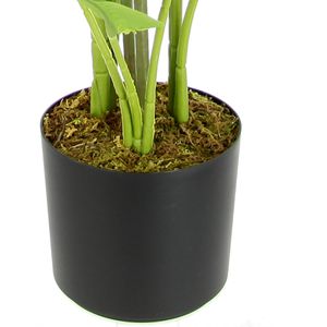 Produktbild für Kunstpflanze I.GE.A. Strelitzie