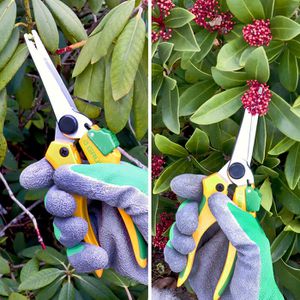 Produktbild für Gartenschere Grüntek COLIBRI Long, Pflanzenschere, Bypass