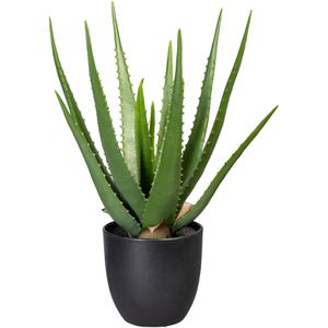 Kunstpflanze Creativ-green Aloe Vera