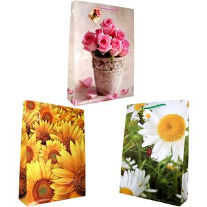 Produktbild für Geschenktüte Böttcher-AG Blumen XL