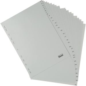 Produktbild für Register Idena 302009, A4, 1-31