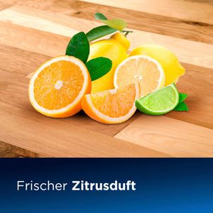 Produktbild für Unterhaltsreiniger Bissell Natural MultiSurfacePet