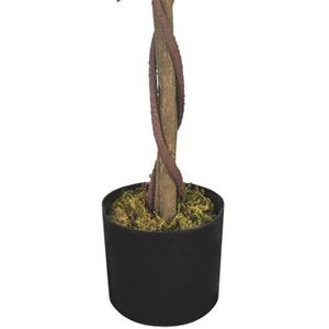 Produktbild für Kunstpflanze Decovego Ficus Benjamin