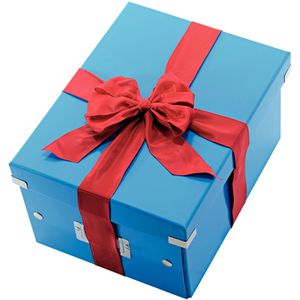 Produktbild für Aufbewahrungsbox Leitz 6044-00-36 Click&amp;Store, 21L