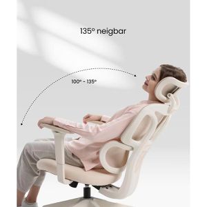 Produktbild für Bürostuhl FlexiSpot BS5W