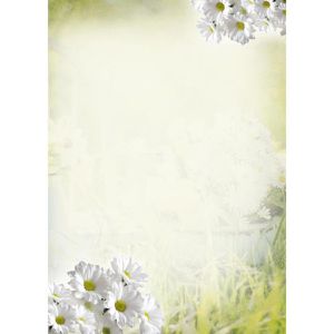 Produktbild für Briefpapier Böttcher-AG marg, Margeriten, A4