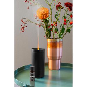 Produktbild für Diffuser Stadler-Form Lucy Flammeneffekt, schwarz