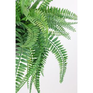 Produktbild für Kunstpflanze I.GE.A. Farnbusch Waldfarn