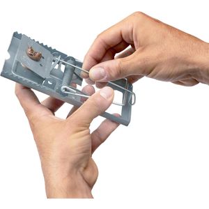 Produktbild für Rattenfalle DEUFA Fox 240105
