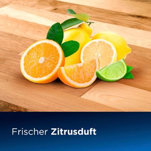 Produktbild für Unterhaltsreiniger Bissell Natural MultiSurfacePet