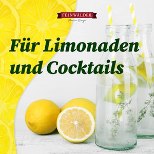 Produktbild für Zitronensäure Feinwälder Premium, Pulver