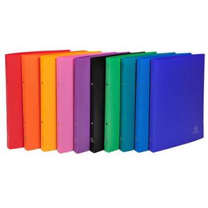 Ringbuch