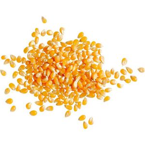 Produktbild für Popcorn Seeberger Popcormais