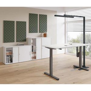 Produktbild für Akustikplatte Hammerbacher VAWPX10, für Wand