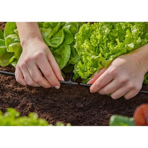 Produktbild für Micro-Drip-System Gardena Rohrverbinder T-Stück, 13211-20