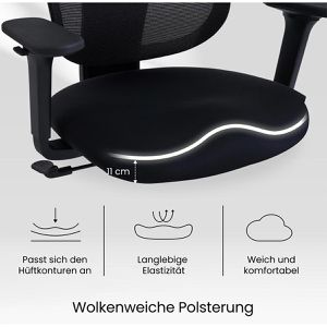 Produktbild für Bürostuhl FlexiSpot BS5B-PRO