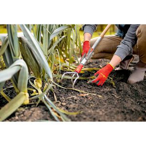 Produktbild für Grubber Wolf-Garten BA-M, 71AAA002650