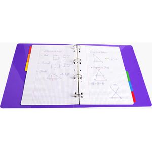 Produktbild für Register Exacompta 2306E, A4, blanko
