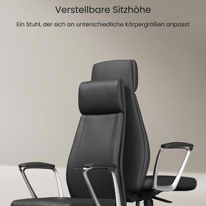 Produktbild für Chefsessel FlexiSpot LC7B