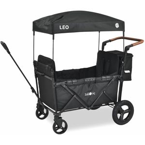 Bollerwagen FableKids Leo X2 Plus, faltbar