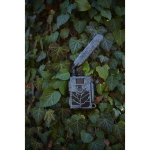 Produktbild für Wildkamera ZEISS Secacam 5 100° LTE 4G GSM