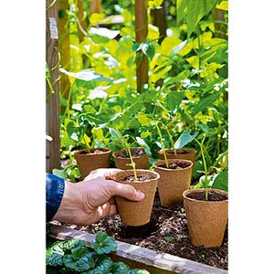 Produktbild für Anzuchttöpfe Romberg 10091102, 10 Stück