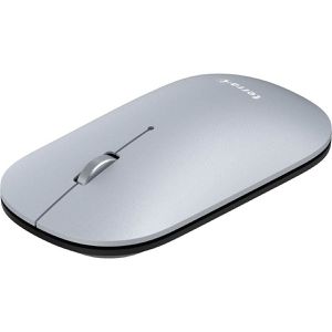 Maus