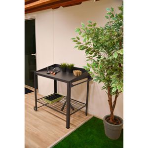 Produktbild für Pflanztisch Garden-Pleasure Diana 507425,anthrazit