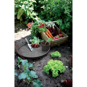 Produktbild für Blumentopf-Untersetzer elho Green Basics, schwarz, Ø 18,5 cm