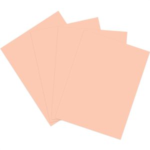 Produktbild für Kopierpapier Papyrus Rainbow 88042524