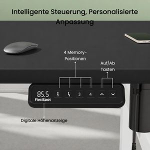 Produktbild für Schreibtisch FlexiSpot EH1W, Doppelarbeitsplatz, schwarz/weiß
