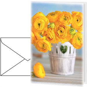 Grußkarten Sigel DS104, Ranunculus