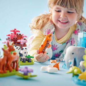 Produktbild für Klemmbausteine LEGO-DUPLO 10446, ab 2 Jahre