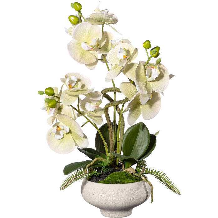 Orchidee, Creativ-green AG Höhe Böttcher cm im grün, Phalaenopsis, Keramik-Topf, – Kunstblume 50 Arrangement