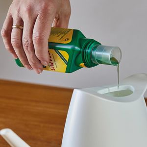 Produktbild für Dünger Seramis Vitalnahrung Grünpflanzen &amp; Palmen