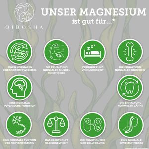 Produktbild für Magnesium Qidosha Phyto 60 Kapseln, BIO