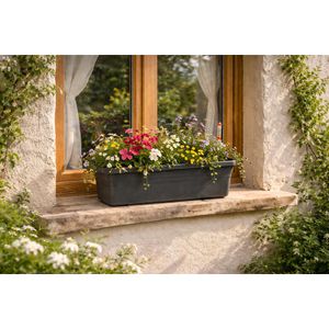 Produktbild für Blumenkasten Florus Mediterran 60, anthrazit