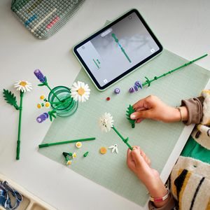 Produktbild für Klemmbausteine LEGO Botanicals 11508, ab 9 Jahre