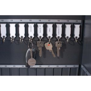 Produktbild für Schlüsselanhänger Pavo Magnettag 8012138
