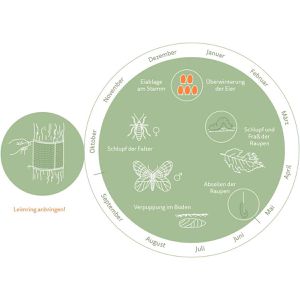 Produktbild für Leimring Substral Naturen, wasserfestes Papier, zum Anbinden