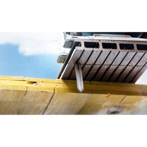 Produktbild für Stichsägeblätter Bosch Expert Plastic Composites Clean T301CHM