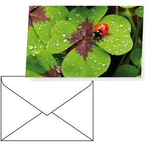 Böttcher-AG Grußkarten Kleeblatt, 115 x 175mm, Klappkarte mit Umschlag