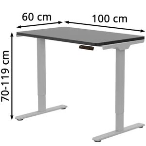 Produktbild für Schreibtisch FlexiSpot E1S Pro, schwarz / grau