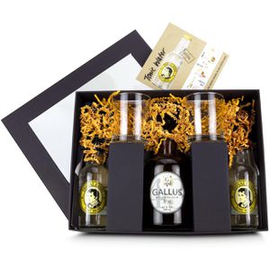 Produktbild für Geschenkset Böttcher-AG Gin Tonic Gallus 43