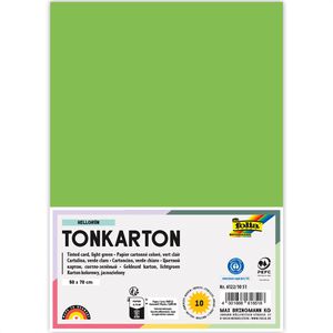 Fotokarton Folia 6122/10 51, 50 x 70 cm