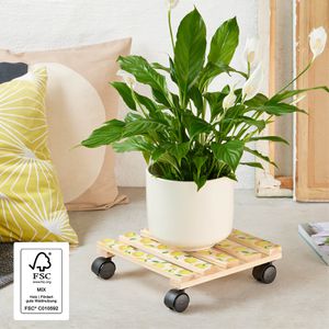 Produktbild für Pflanzenroller Wagner-System Your Style GH 0644, für innen